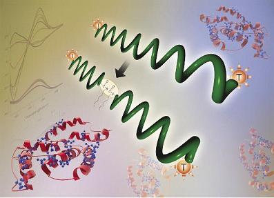 Research Team Led by Professor Jae Suk, Lee of GIST, Developed Polyisocyanate Helical Structure Control Technology 이미지