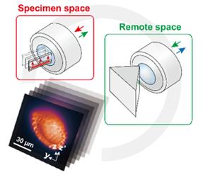Professor Hyuk-Sang Kwon's research team develops a light-sheet microscope capable of direct lateral photography 이미지