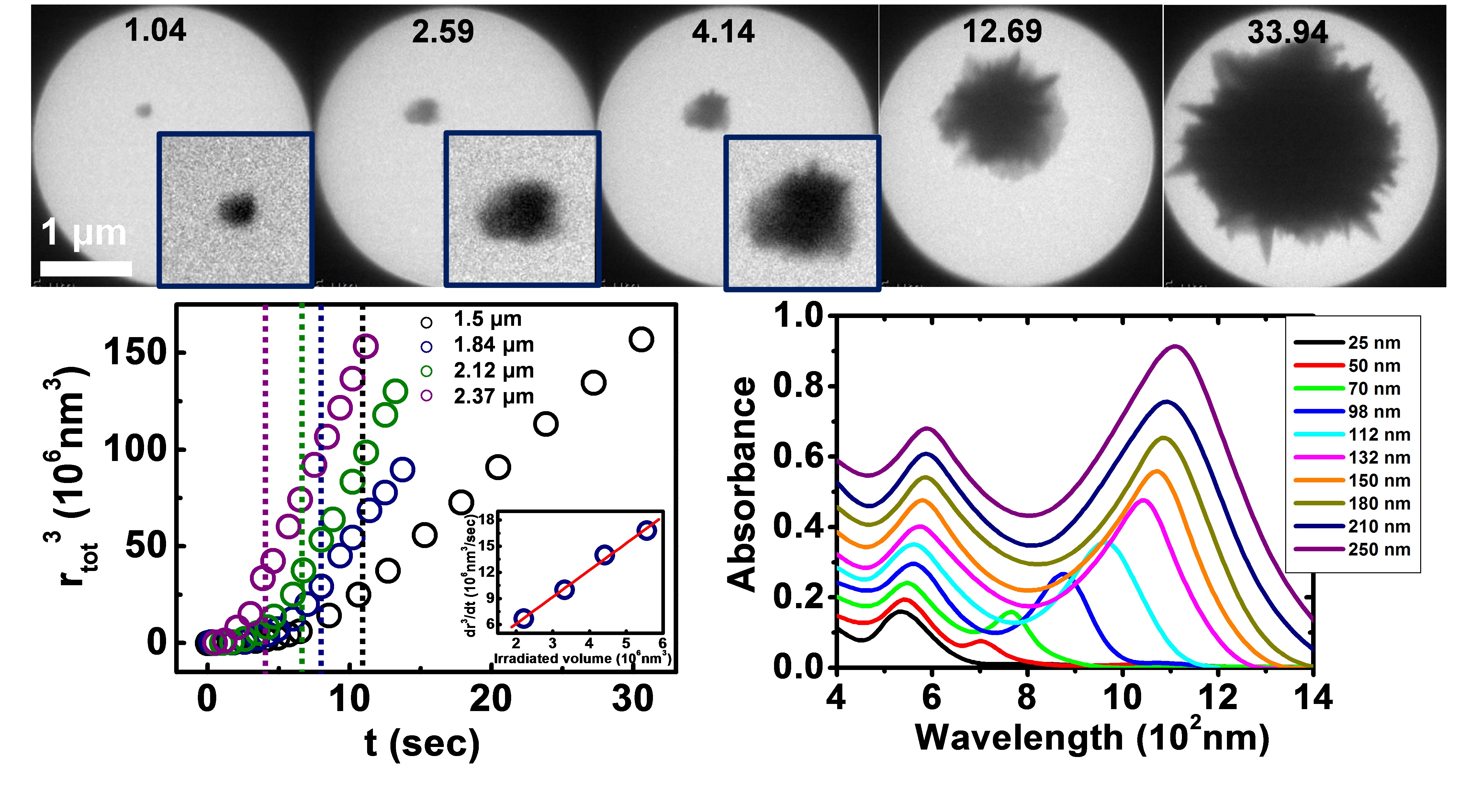 Professor Bong-Joong Kim's research team identifies growth kinetics of individual spiky gold nanoparticles by using liquid cell transmission electron microscopy 이미지