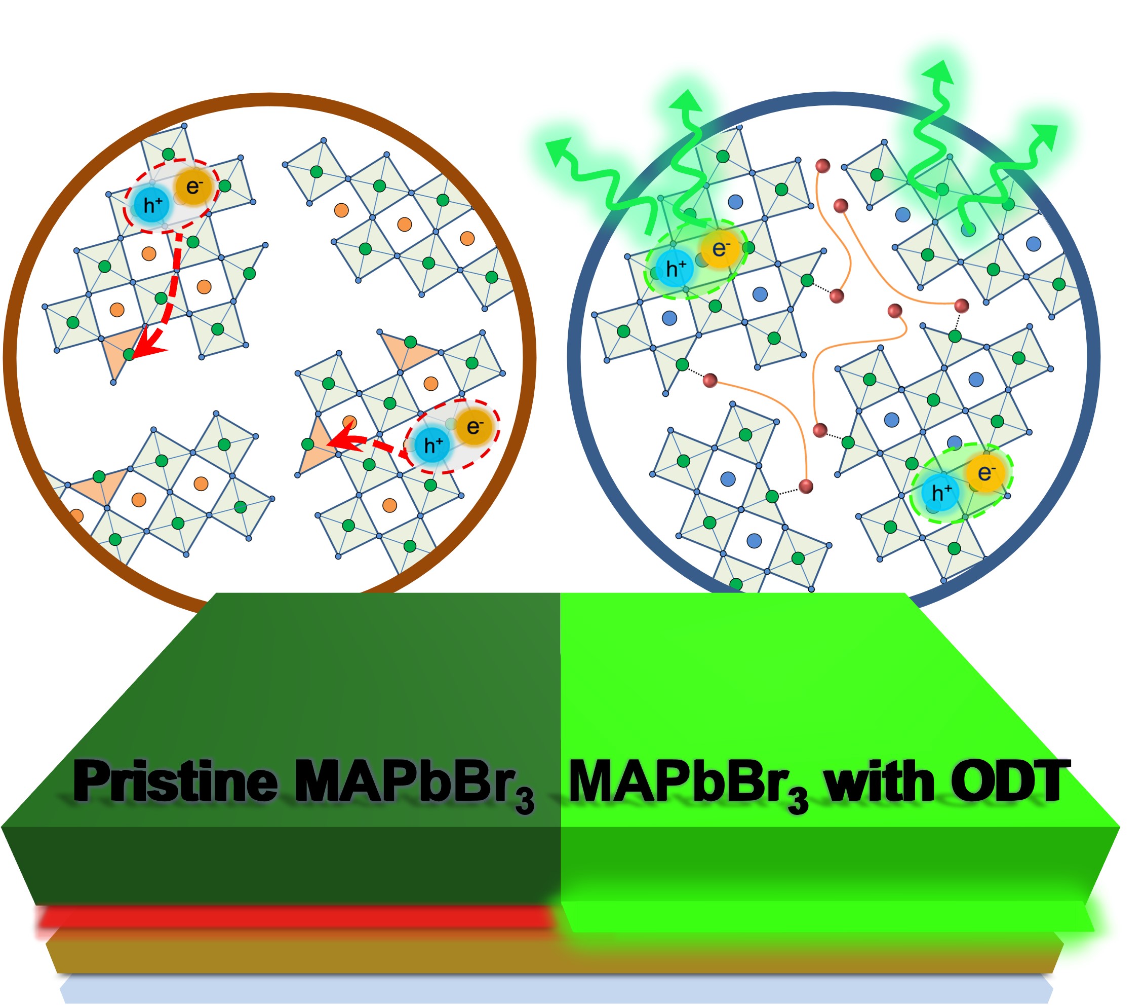 GIST-Seoul National University, develop high-efficiency green perovskite LED achieving world-class performance by simultaneously controlling light-emitting body and interface defects 이미지