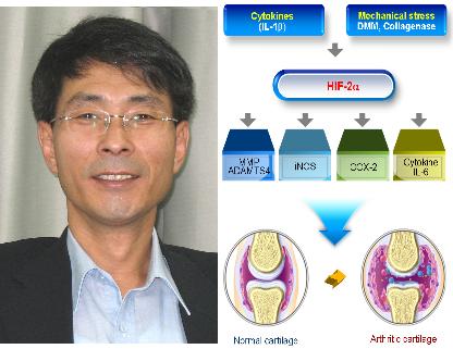 전장수 교수팀, 세계적인 과학지 Nature Medicine 논문 게재 이미지