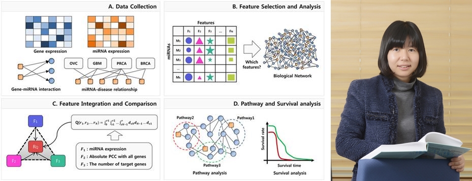 이현주 교수팀, 암 연관 마이크로 RNA 순위화 방법론 개발 이미지