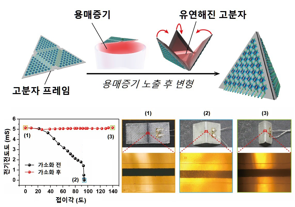 고흥조 교수 연구팀, 맹점 없는 전방향 이미지센서 개발(한국연구재단) 이미지