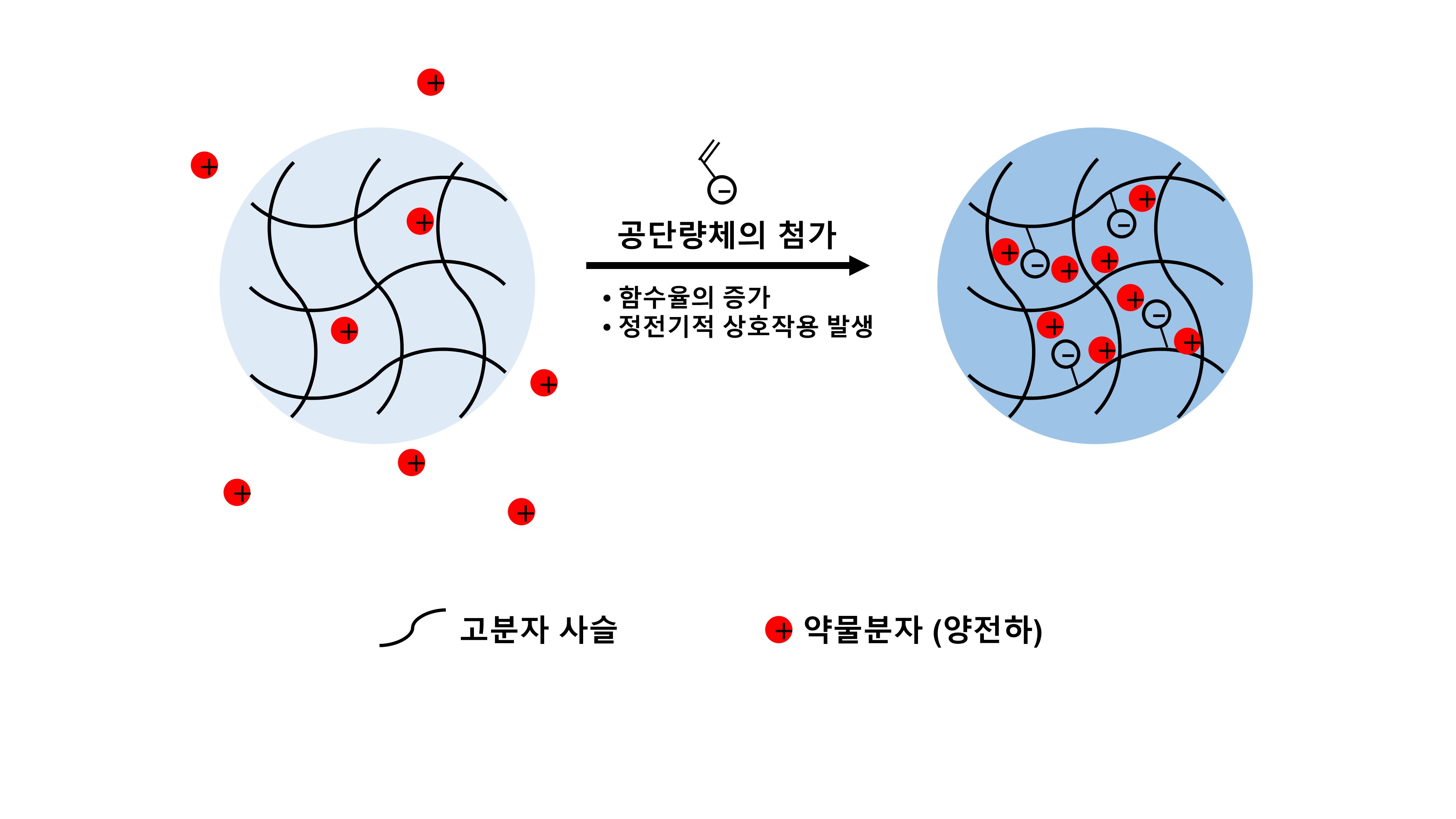 권인찬 교수 연구팀, 안구 염증 치료를 위한 콘택트렌즈 개발 이미지