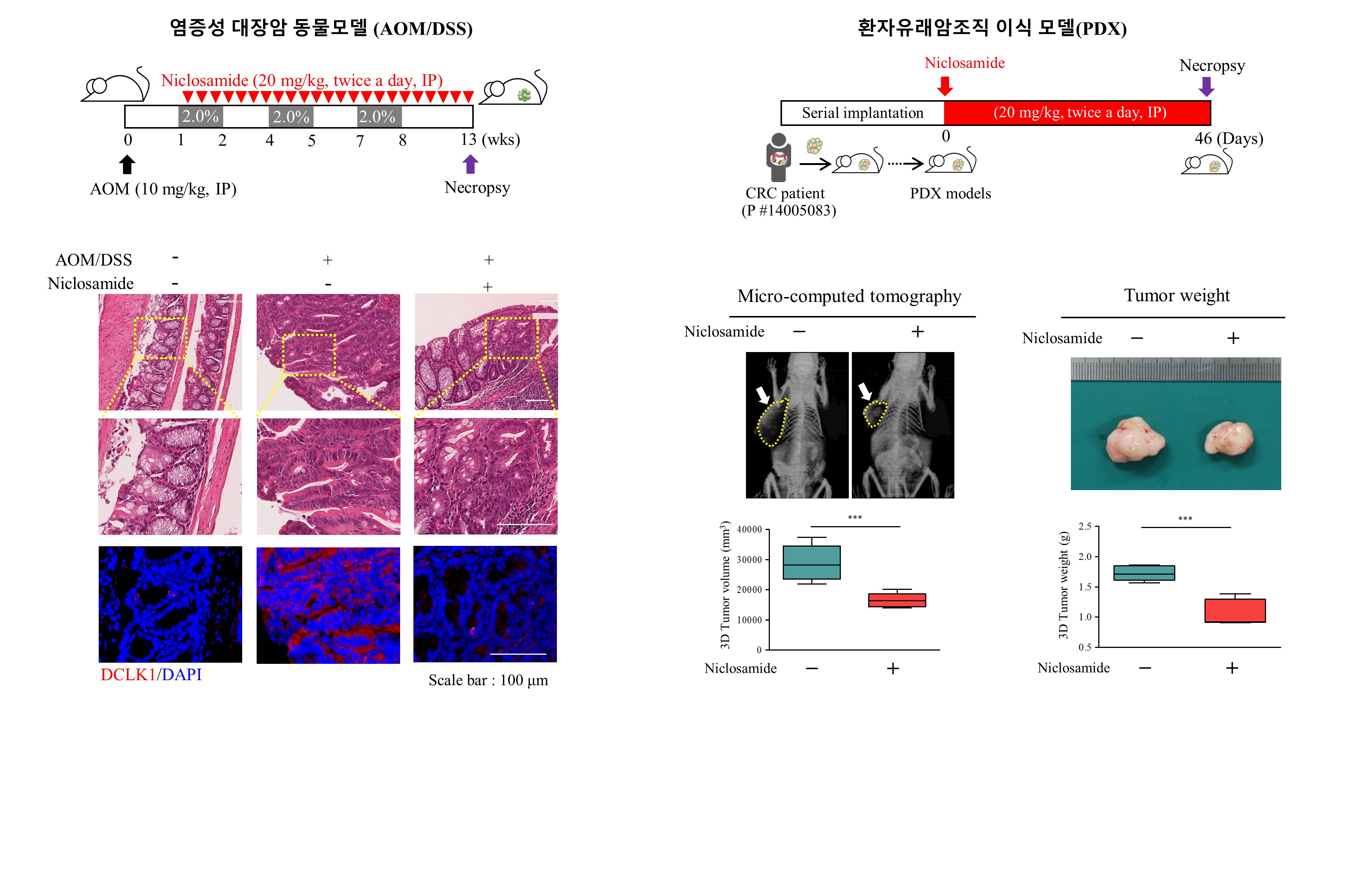 남정석 교수 연구팀, 고비용 항암치료의 희망-  신약재창출을 통한 암줄기세포 표적약물 개발 이미지