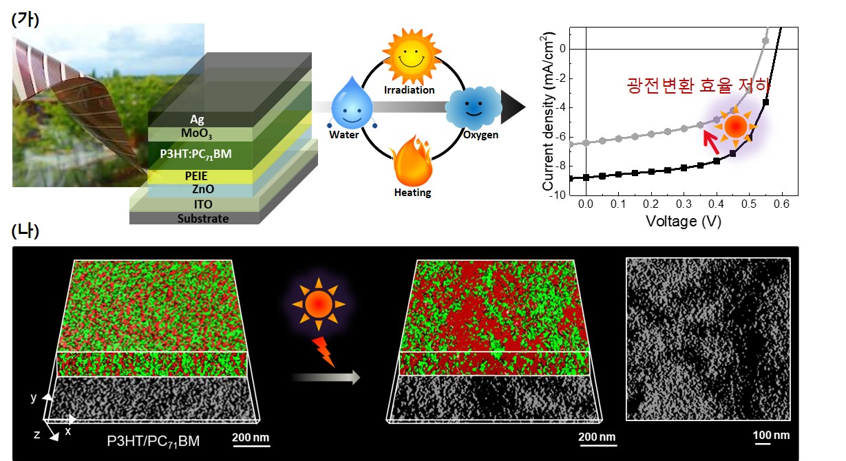 이은지 교수 연구팀, 유기태양전지 안정성을 향상시키는 고분자 나노전선-광활성층의 삼차원 구조 규명 성공 이미지