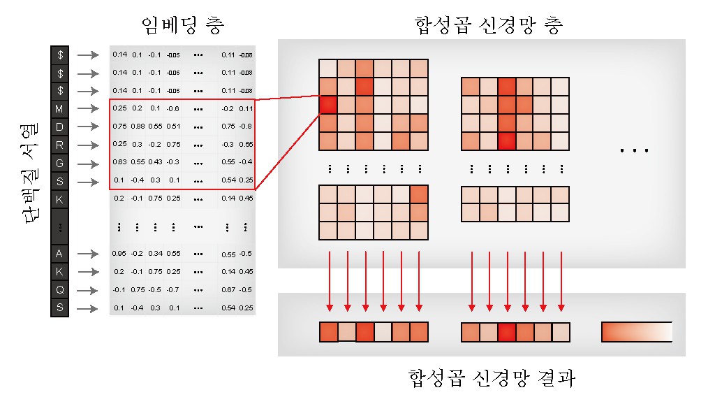 남호정 교수 연구팀, 약물-표적 단백질 상호작용 판별 인공지능 모델 개발 이미지