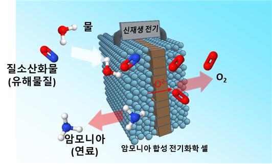 주종훈 교수 공동연구팀, 환경오염 물질을 암모니아로 전환하는 기술 개발 이미지