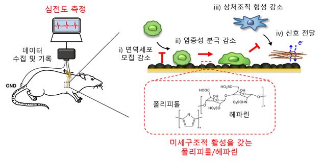 신소재공학부 이재영 교수 연구팀, 표면 특성 조절로 성능 향상된 체내 이식형 전극 (한국연구재단) 이미지