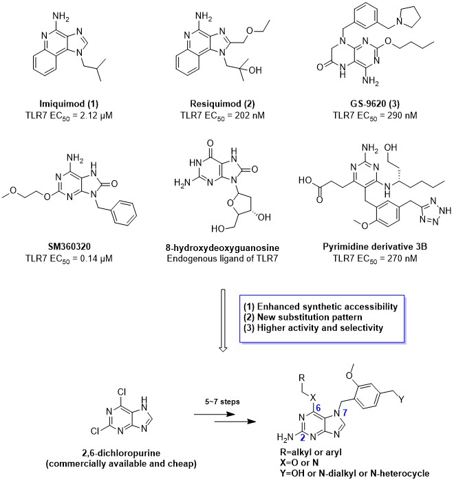 Professor Jin Hee Ahn-KRICT (Korea Research Institute of Chemical Technology) Joint Research Team Develops Candidate Substance for Vaccine Adjuvant That Enhances Immune Effect 이미지